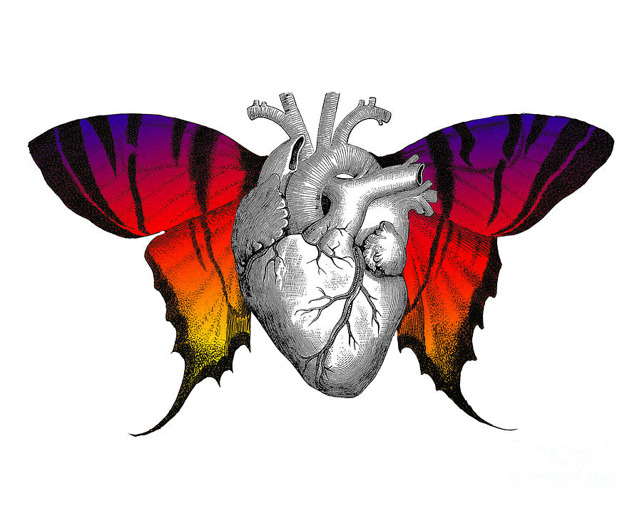 Flying heart with butterfly wings Digital Art by Madame Memento