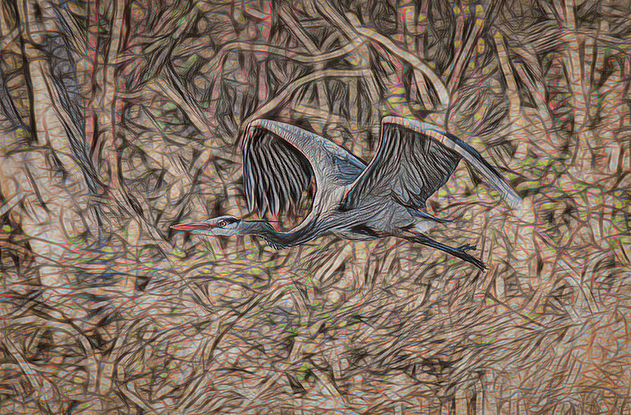 Flying Heron Digital Art Digital Art