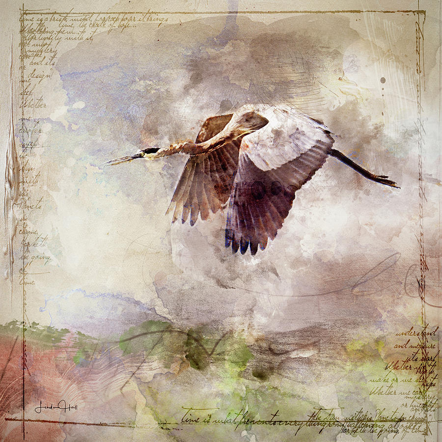 Flying Heron Digital Art by Linda Lee Hall