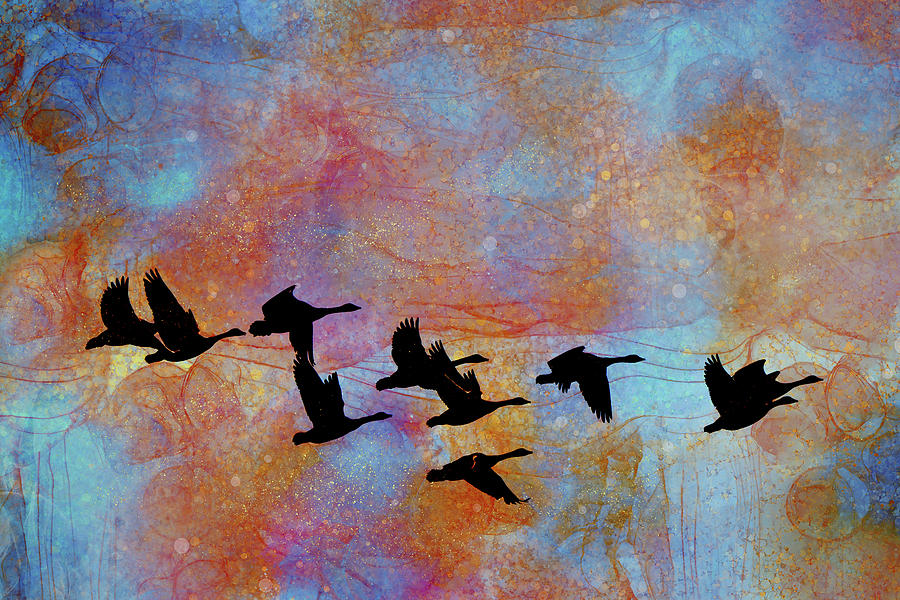 Geese Mixed Media - Flying in Formation by Peggy Collins