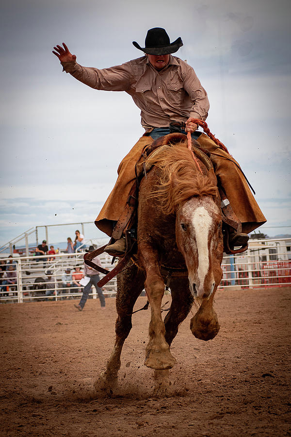 Flying on a Bronc Photograph by Kelly Markus Flying on a Bronc Photograph by Kelly Markus