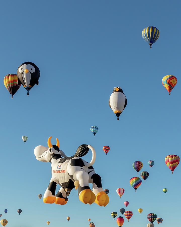 Flying Penguins and Airabelle the Cow Aloft Photograph by Susan Rissi Tregoning