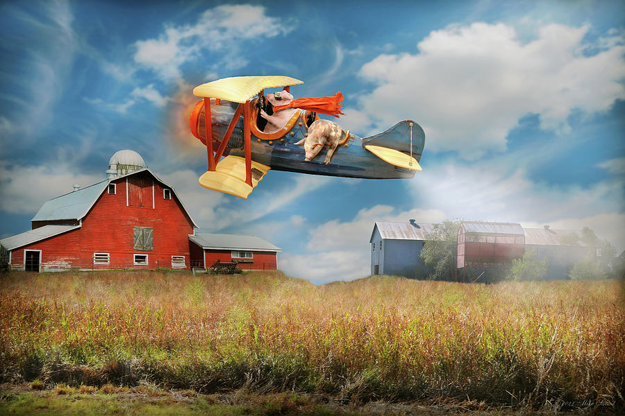Flying Pig - Crop dusting pigs Digital Art by Mike Savad