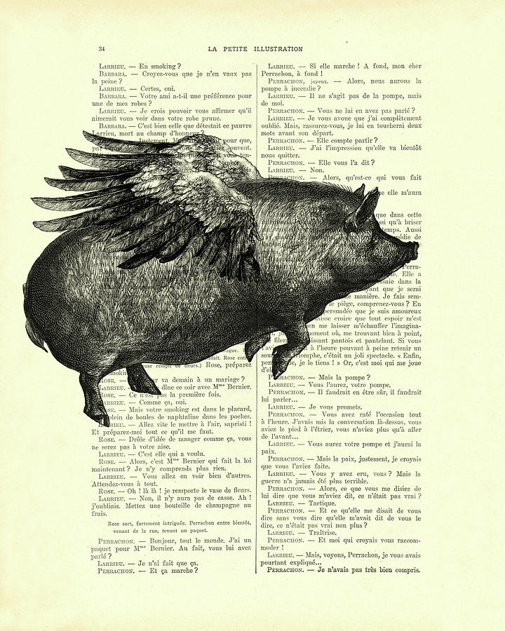Black And White Mixed Media - Flying pig on antique book page by Madame Memento