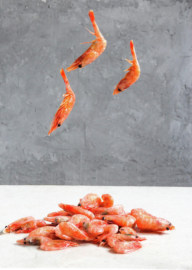 Flying prawns on a dark background Photograph by Irina Kurnosova - Fine ...