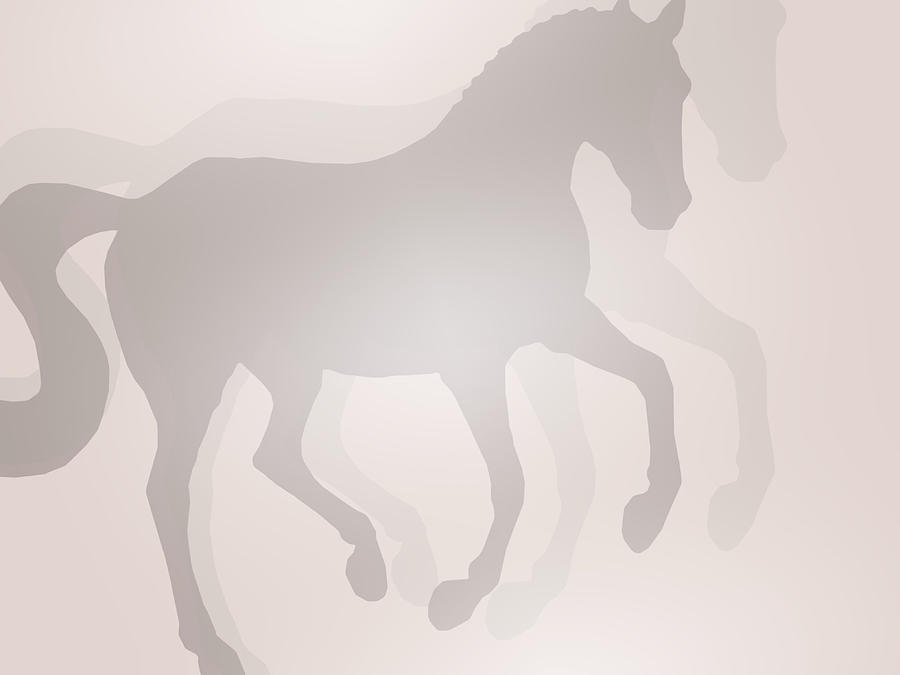 FLYING SHADOWS by Dressage Design FLYING SHADOWS by Dressage Design
