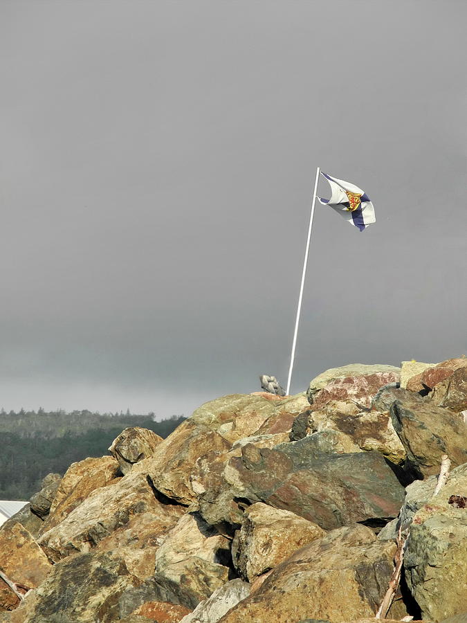 Flying THe Flag Photograph by Alan Norsworthy