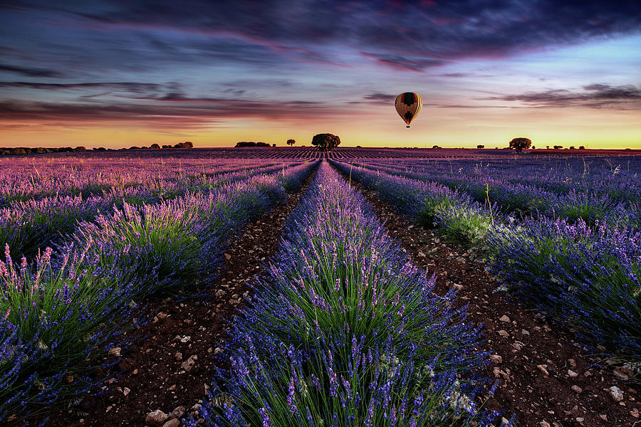 Flying without wings Photograph by Jorge Maia