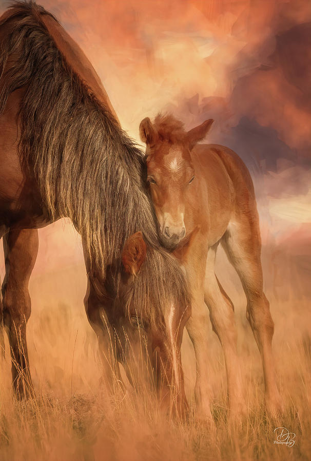 Foal and Mare Photograph by Debra Boucher