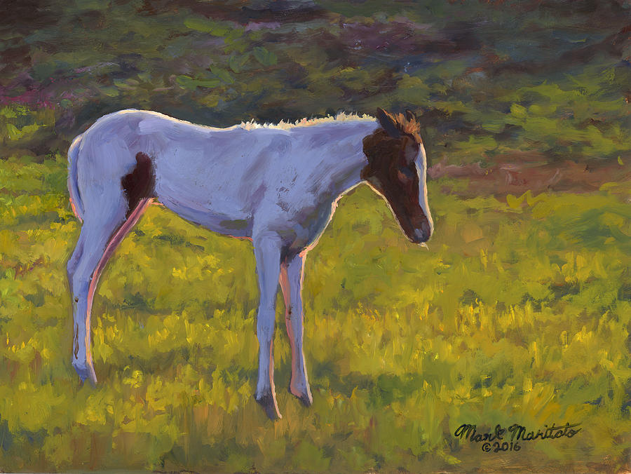 Gettysburg National Park Painting - Foal by Mark Maritato