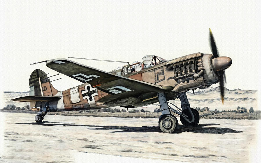 Focke Wulf Fw 189 Uhu Flugauge Reconnaissance Aircraft Luftwaffe Fw 189