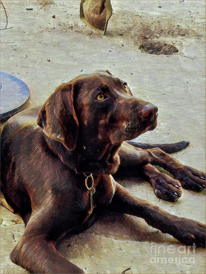 Focused  by Shelly Crutchley