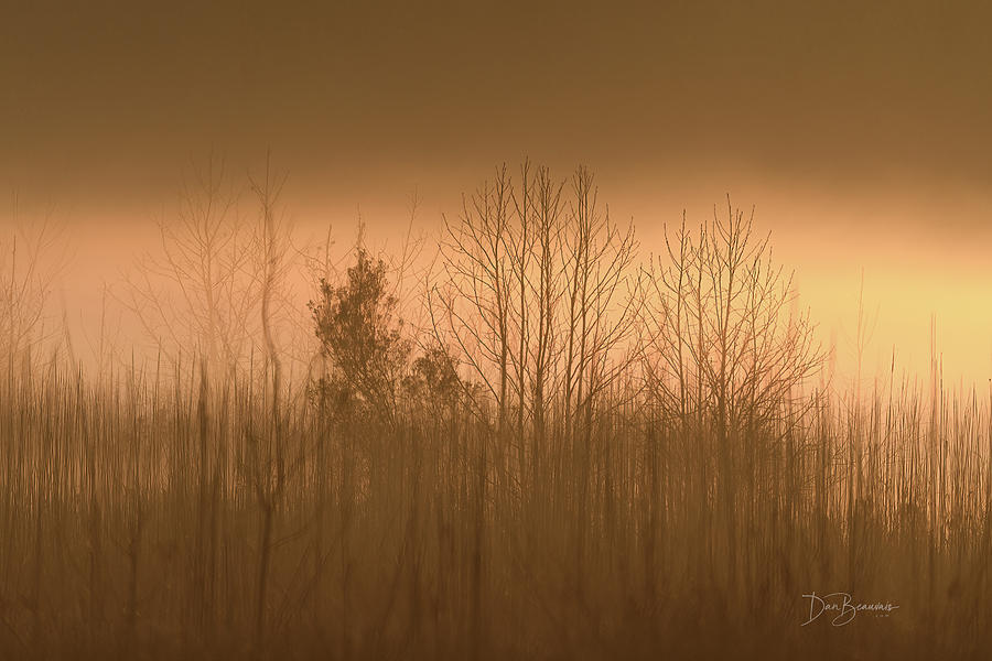 Fog #3617 Photograph by Dan Beauvais