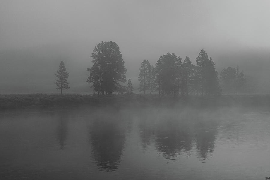 Fog Along the Yellowstone River Photograph by Douglas Wielfaert