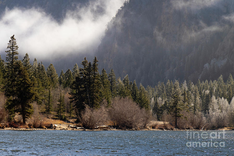 Fog and Frost at Cottonwood Lake Colorado Photograph by Steven Krull
