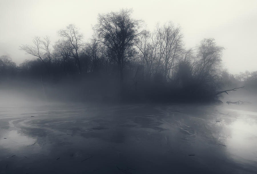 Fog and Mist Photograph by Cate Franklyn