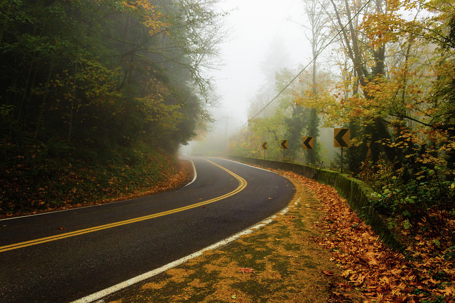 Fog And Winding Road Photograph