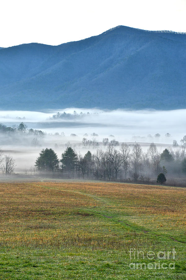 Fog At Cades Cove Photograph by Phil Perkins