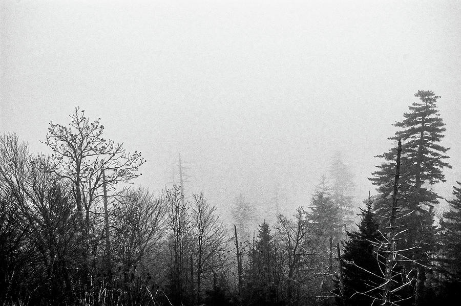 Fog at Clingmans Dome_002 Photograph by James C Richardson