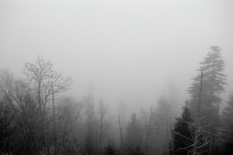 Fog at Clingmans Dome_005 Photograph by James C Richardson