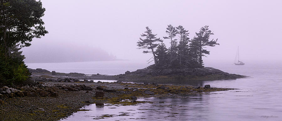 Fog at Coastal Islet Photograph by Marty Saccone