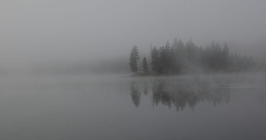 Fog At Loon Lake Photograph