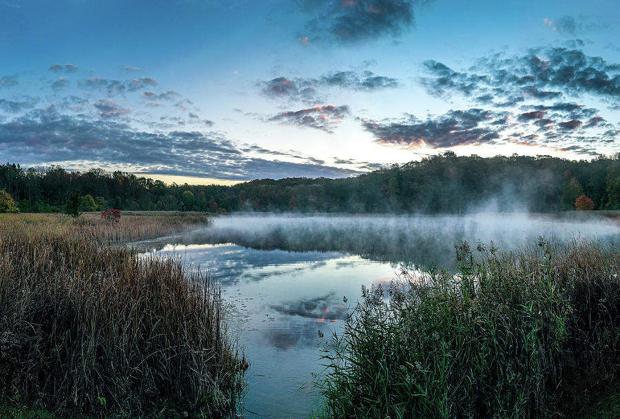 Fog at Round Pond Photograph by Alan Schwartz