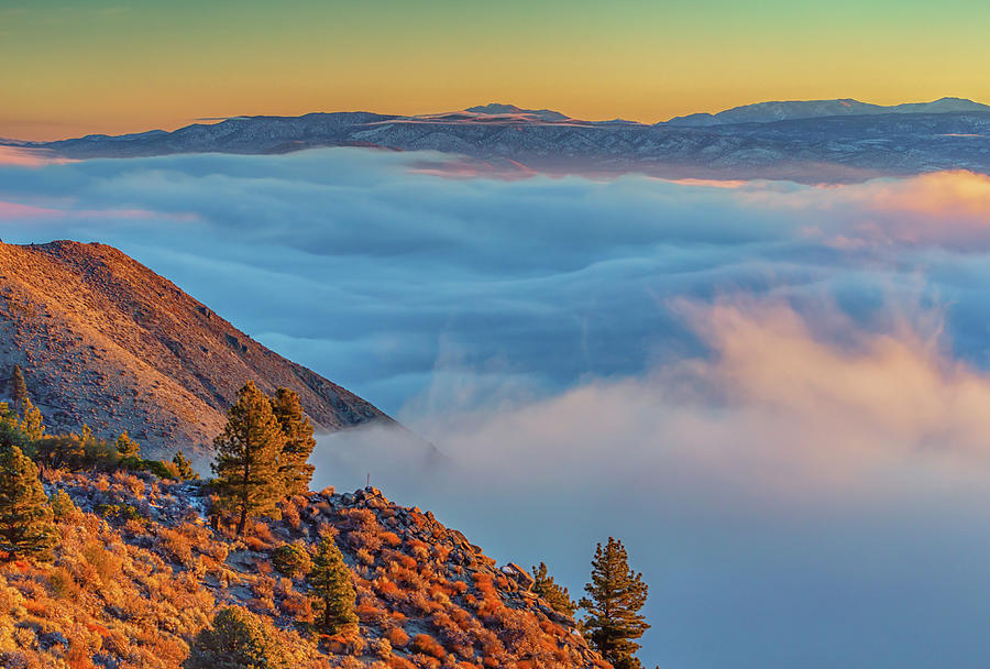Fog at Sunrise Above Carson Valley Photograph by Marc Crumpler