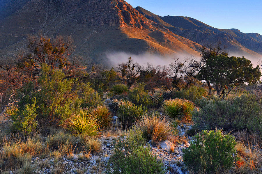 Guadalupe Mountains National Park Photograph - Fog At Sunrise by Stephen Vecchiotti