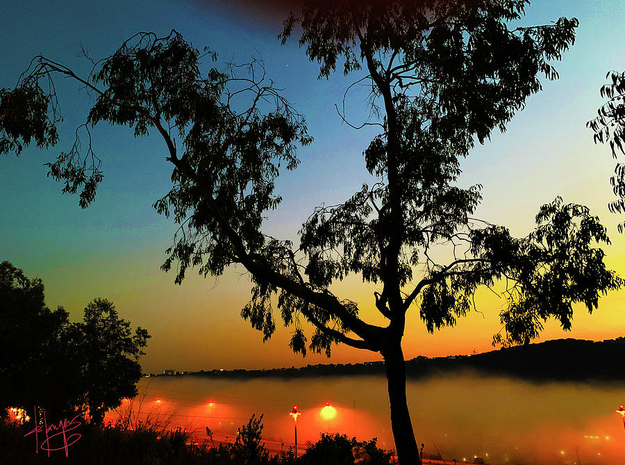 Fog At Sunset Photograph by DC Langer