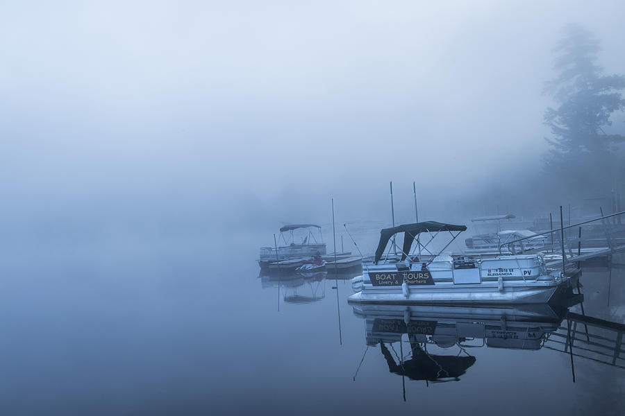 Fog at the Marina Photograph by Fran Gallogly