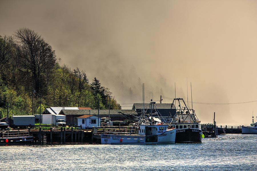 Fog Bay Photograph by David Matthews
