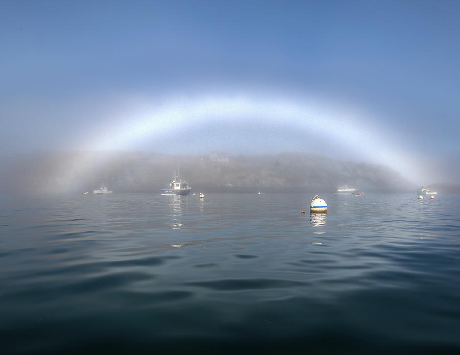 Fog Bow on Monhegan Harbor Photograph by Tom Cameron
