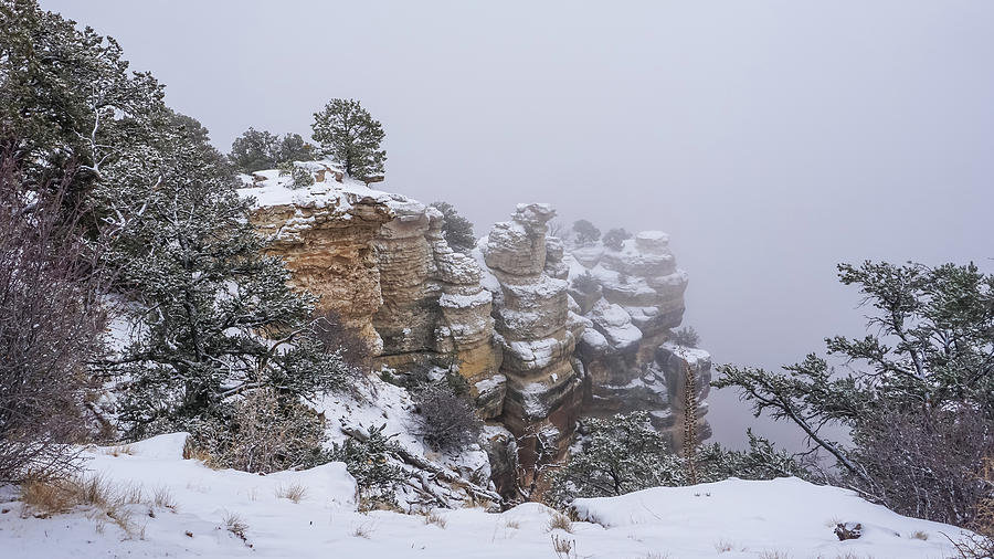 Fog filled Canyon on a Snowy Day 3 Photograph by Dawn Richards