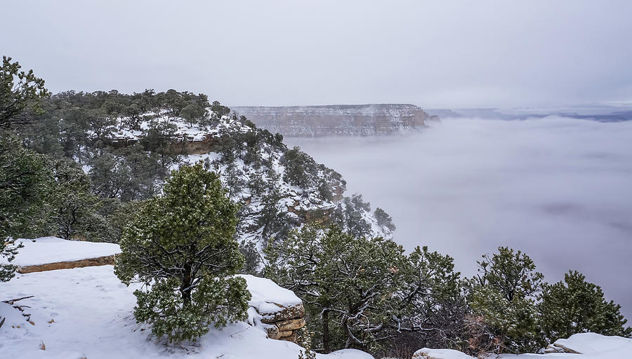 Fog filled Canyon on a Snowy Day Photograph by Dawn Richards
