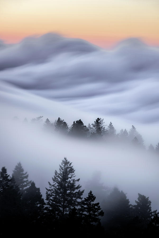 Fog Flow Photograph by Shelby Erickson