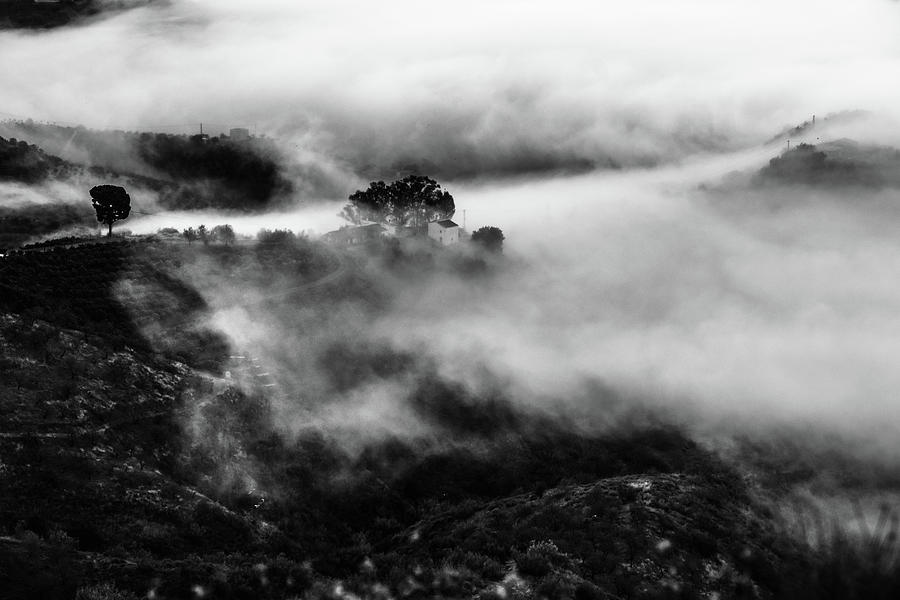 Fog Photograph by Gary Browne
