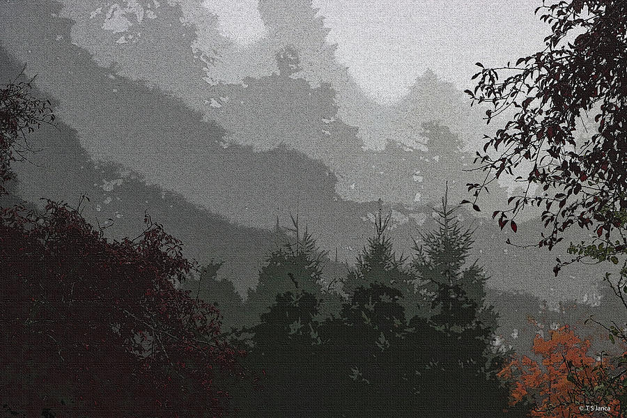 Fog In The Forest Outback Digital Art by Tom Janca