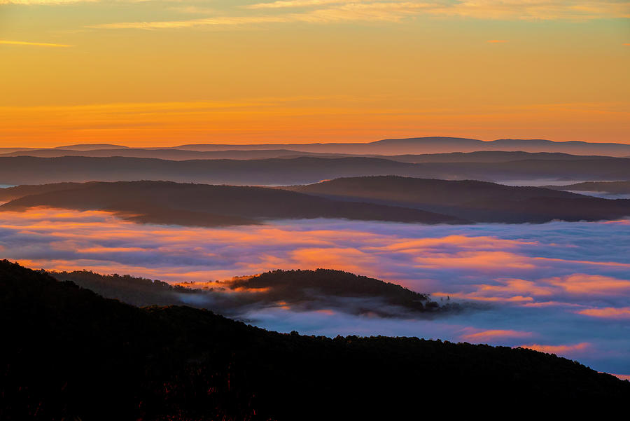 Fog in the morning on the West Virginia scenic Highway  4 Photograph by Dan Friend