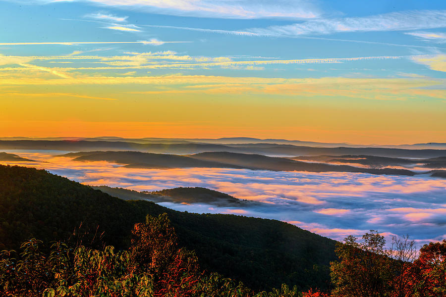 Fog in the morning on the West Virginia scenic Highway  5 Photograph by Dan Friend