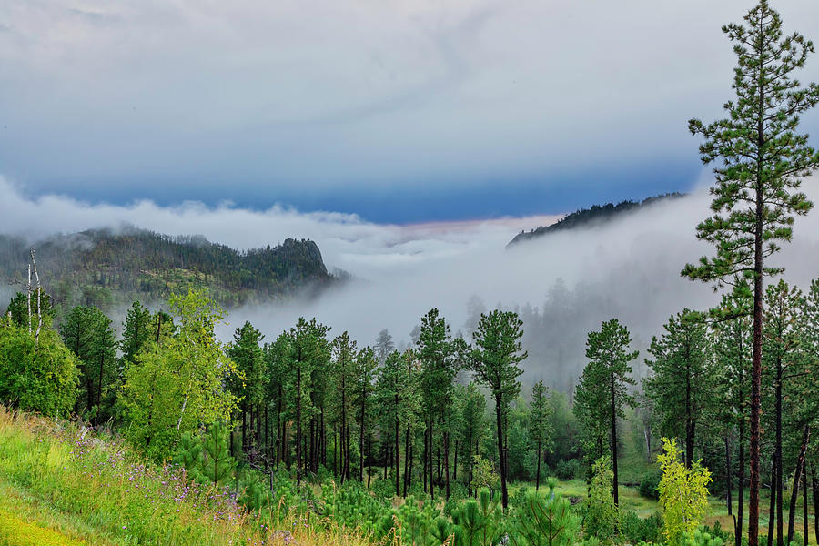 Fog In The Valley Photograph by Lorraine Baum
