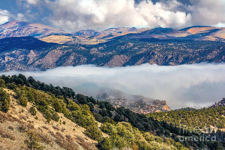 Fog in the Valley by Viki Velazquez Fog in the Valley by Viki Velazquez