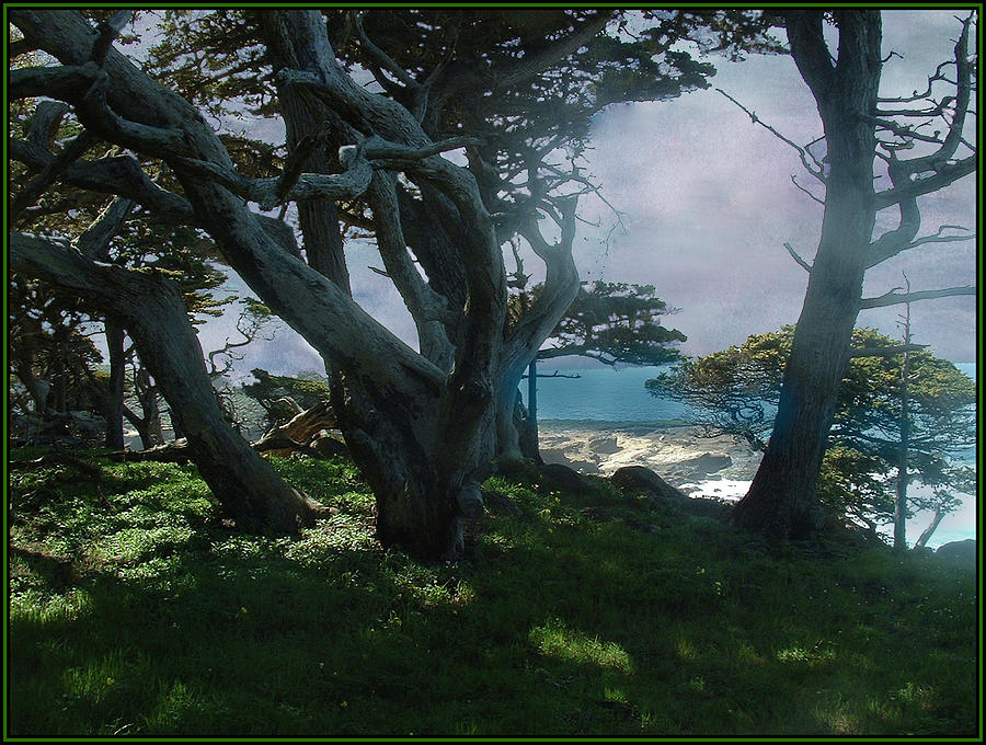 Fog Intrusion Point Lobos Photograph by Wayne King