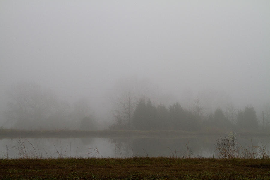 Fog Photograph by Kathy Clark