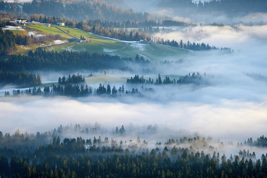 Fog landscape Photograph by Chevy Fleet