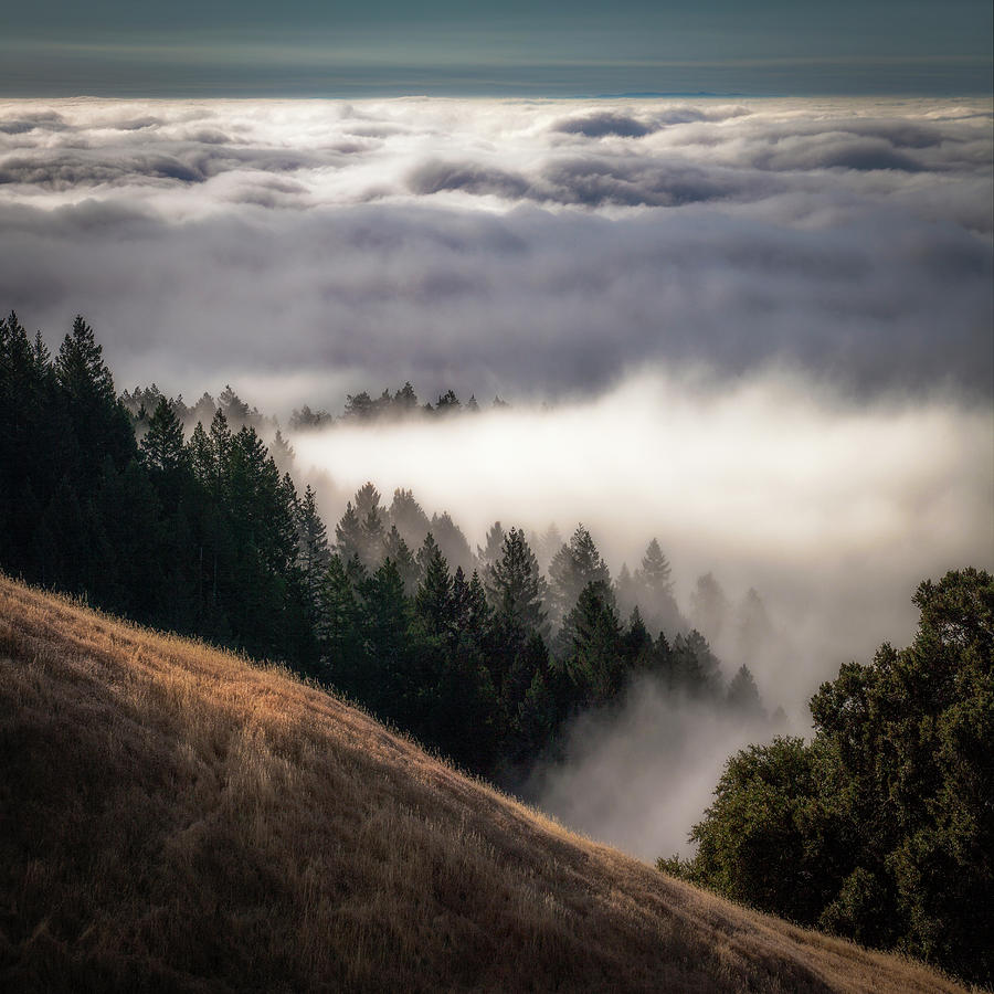 Fog layer over Pacific Photograph by Donald Kinney