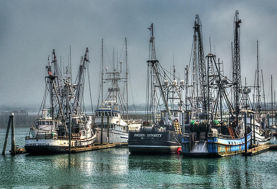 Fog Lifting in the Harbor Photograph by Greg Sigrist