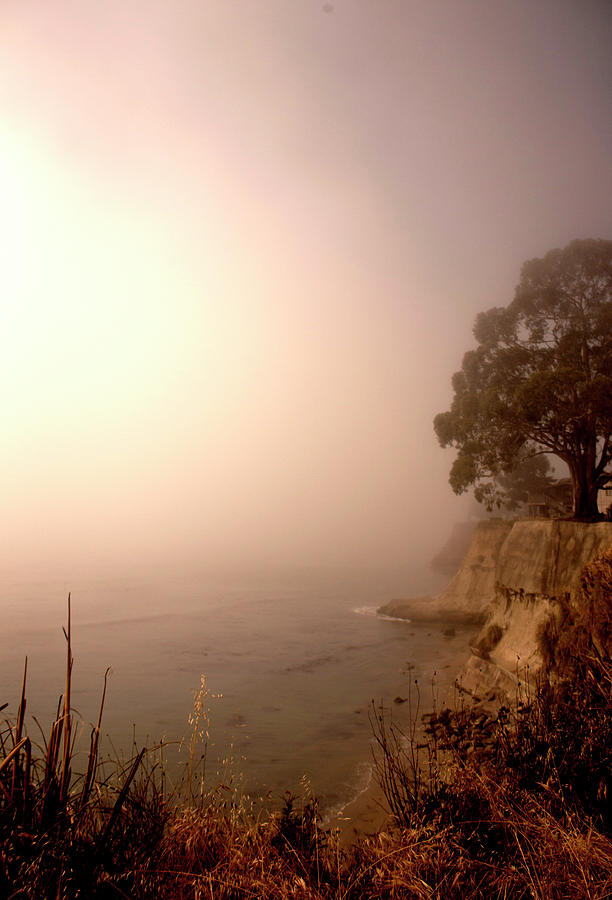 Fog Lit Photograph by Lora Lee Chapman