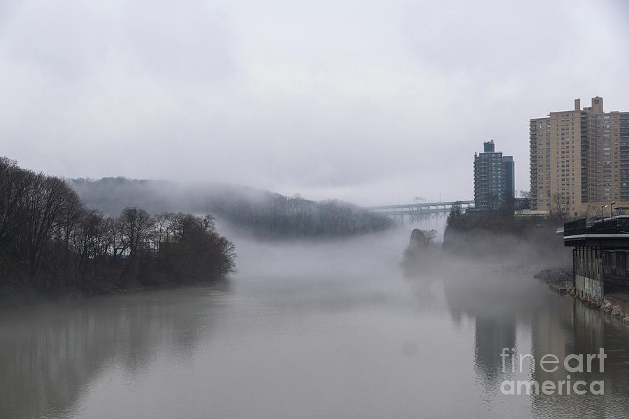 Fog on Inwood Hill  Photograph by Cole Thompson
