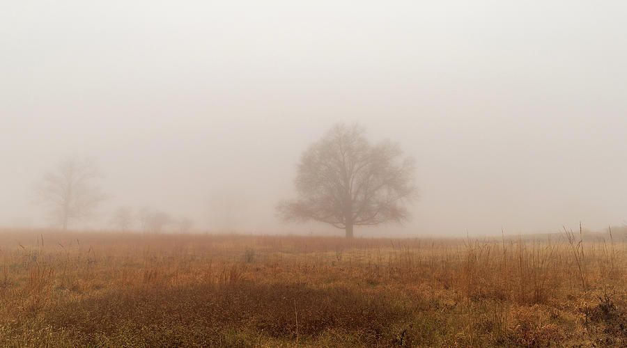 Fog on the Battlegrounds of Gettysburg PA Photograph by Amelia Pearn
